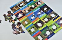 Игровой набор Растительный и животный мир (по методике Сегена)