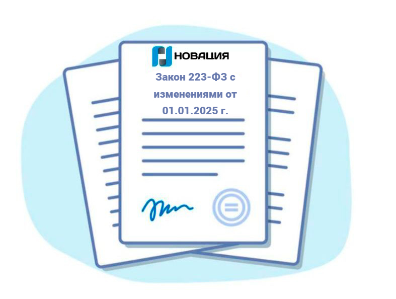 Закон 223-ФЗ с изменениями от 01.01.2025 г.