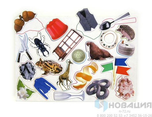 Магнитное развивающее пособие Упрямые звуки, звук Ж