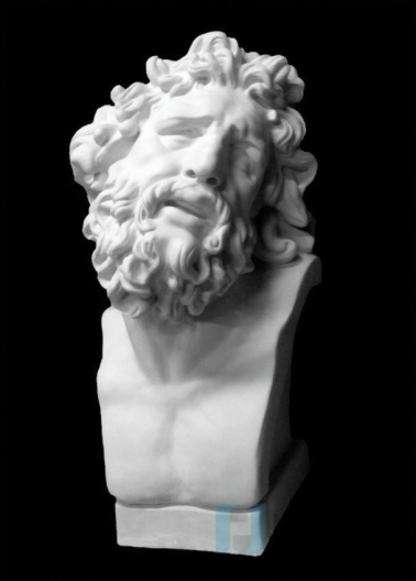 Гипсовая модель Бюст Лаокоона