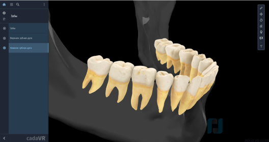 Интерактивный стол Реальная анатомия