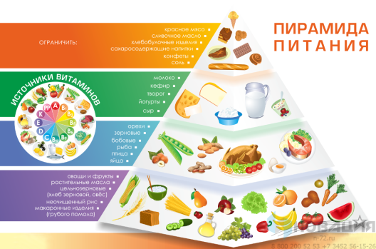Стенд в столовую Пирамида питания, 1100х750 мм