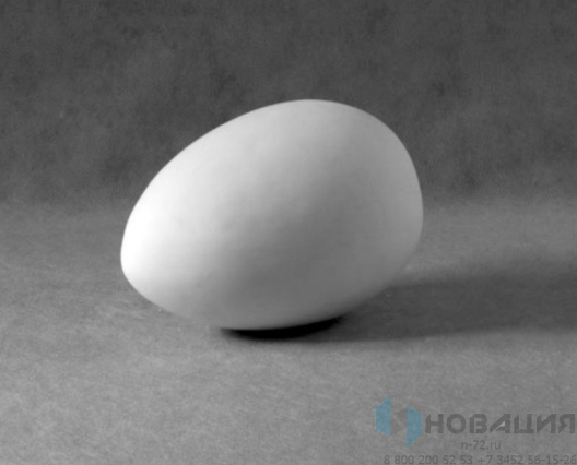Гипсовая модель Яйцо