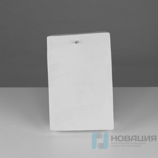 Гипсовая модель Ухо правое Давида