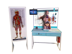 Трехмерный анатомический атлас