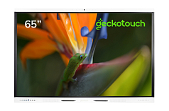 Интерактивная панель Гекотач СЛ (Geckotouch SL)