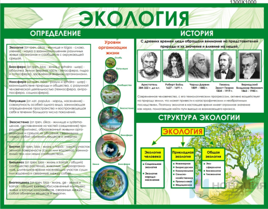 Стенд Экология, 1300х1000 мм