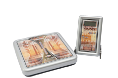 Весы электронные ВЭУ