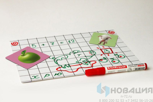 Магнитно-маркерное поле А4 клетка