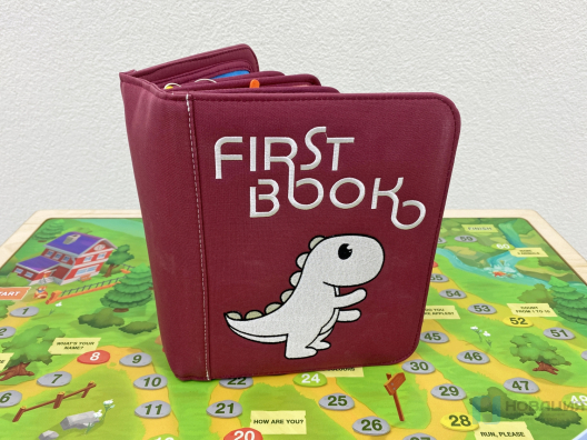 Профессиональный комплект для изучения английского языка English Buddy