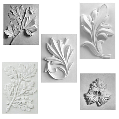 Комплект гипсовых моделей растений