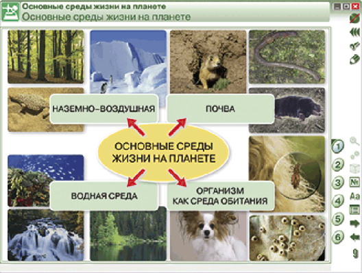 Пособие для интерактивной доски Введение в экологию