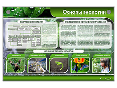 Электрифицированный стенд Основы экологии
