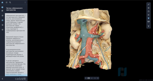 Интерактивный стол Реальная анатомия