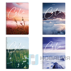 Тетрадь А4, 96 л., BRAUBERG, гребень, клетка, обложка картон, "Calm", 404059